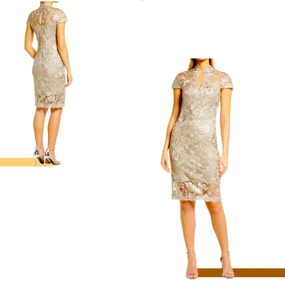 Lace Embroidered Dress